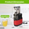 Cold Press Juicer Machine 300W Electric Slow Masticating Juicer for Whole Vegetable and Fruit with Reverse Function 2 Containers Cleaning Brush Clear